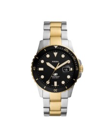 Buy Watch Fossil STAINLESS STEEL FS5951