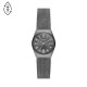 Skagen Stainless Steel SKW3039 Watch - TicTacArea