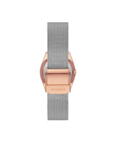 Купить часы Skagen STAINLESS STEEL SKW3050