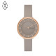 Skagen Leather SKW3061 Watch - TicTacArea