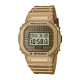 Casio G-SHOCK DWE-5600HG-1ER