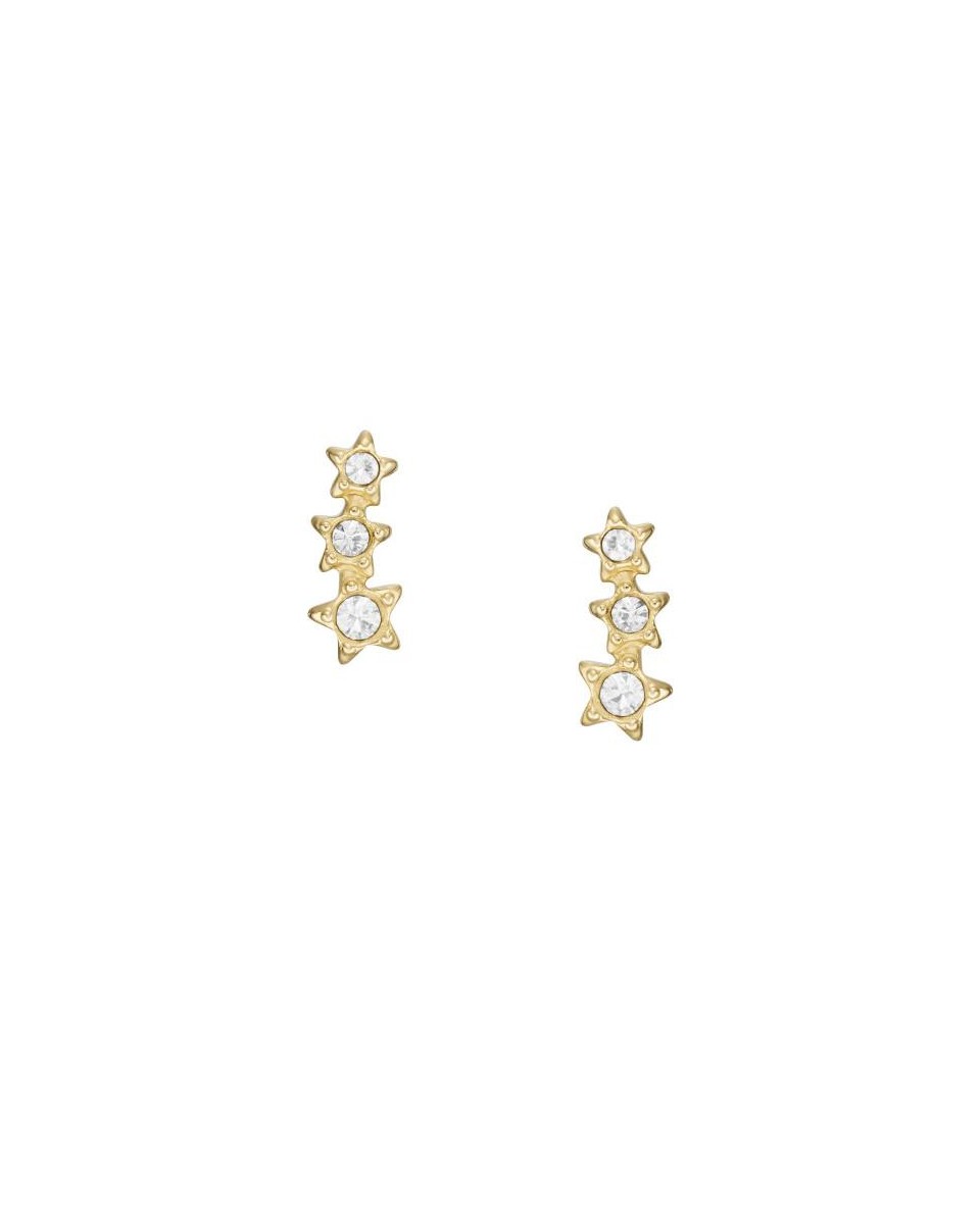 Fossil Earring STAINLESS STEEL JF04241710 - TicTacArea