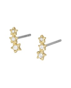 Fossil Earring STAINLESS STEEL JF04241710 - TicTacArea