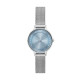 Skagen Stainless Steel SKW3065 Watch - TicTacArea