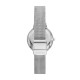 Skagen Stainless Steel SKW3065 Watch - TicTacArea