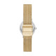 Skagen Stainless Steel SKW3068 Watch - TicTacArea