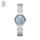 Skagen Stainless Steel SKW3069 Watch - TicTacArea