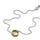 "DIESEL Stainless Steel DX1397931: Robustes Halsband für Hunde"