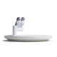 Parrot Love Plate Lladró Porcelaine 01007851 - TicTacArea