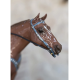 Lladro Porcellana QUARTER HORSE 01001980