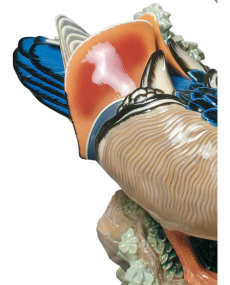 Lladro Porcelain MANDARIN DUCKS 01001979