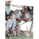 Lladro 01001797 Figurine ENCHANTED OUTING