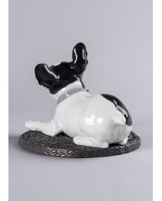 Bulldog francés con macarons Porcelana Lladró 01009398  