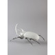 Rhinoceros beetle (matte white) Lladró Porcelain 01009478