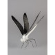 Dragonfly (matte white) Lladró Porcelain 01009480