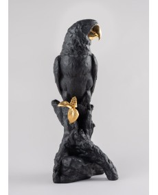 Macaw bird (black-gold) Porcelana Lladró 01009577  