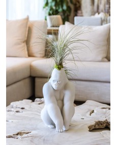 Gorilla Garden Figurine. Matte White-h. Plant the Future Lladró Porcelain 01009649