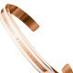 Pulsera Daniel Wellington CLASSIC DW00400067