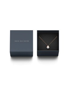 Collar Daniel Wellington ASPIRATION DW00400157