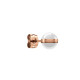 Boucles d'oreilles Daniel Wellington ASPIRATION DW00400152