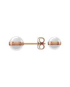 Boucles d'oreilles Daniel Wellington ASPIRATION DW00400152