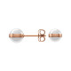 Daniel Wellington Earrings ASPIRATION DW00400152