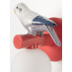 Parrot wall light (left)(CE/UK) Lladró Porcelain 01024050