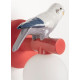 Parrot wall light (right)(CE/UK) Lladró Porcelain 01024057