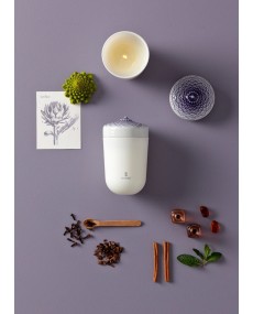 Echoes of N. candle-A Secret Orient Lladró Porcelain 01040146