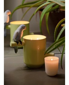 Parrot's scented treasure Lladró Porcelain 01040150