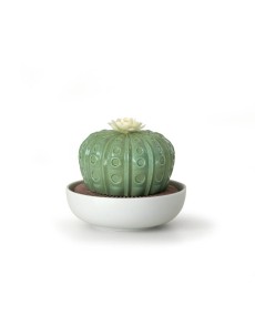 Astrophytum cactus-gardens of valencia Lladró Porcelain 01040185