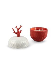 Bougie Coral Lladró Porcelaine 01040254  