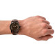 Watch Fossil COPELAND 42MM FS5666