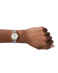 Relógio Skagen Anita SKW2340: estilo e elegância