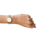 Skagen SIGNATUR SKW2693 Watch - TicTacArea.com