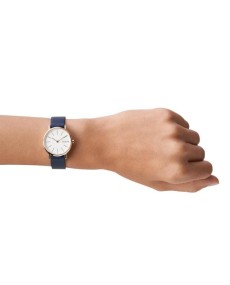 Reloj Skagen SIGNATUR SKW2838 - TicTacArea