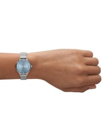 Skagen Stainless Steel SKW3065 Watch - TicTacArea