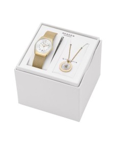 Skagen Stainless Steel SKW1152SET Watch - TicTacArea