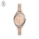 Fossil Armbander für Uhr Fossil CARLIE ES5213