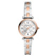 Fossil Correa para Reloj Fossil CARLIE ES5201