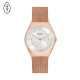 Skagen Armbander für Uhr Skagen GRENEN ULTRA SLIM SKW6827