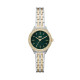 DKNY Correa para Reloj DKNY PARSONS NY6632