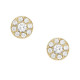 Fossil Earring STAINLESS STEEL JF04375710 - TicTacArea