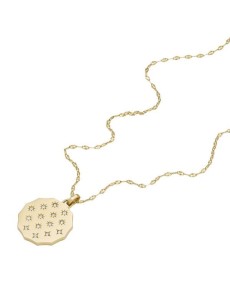 Fossil Necklace STAINLESS STEEL JF04382710 - TicTacArea