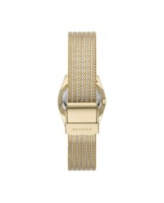 Skagen Stainless Steel SKW1156SET Watch - TicTacArea