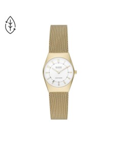 Skagen Stainless Steel Mesh SKW3077 Watch