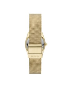 Skagen STAINLESS STEEL MESH SKW3077 - TicTacArea.com