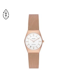 Skagen Stainless Steel Mesh SKW3078 Watch