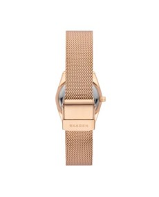 Skagen Stainless Steel Mesh SKW3078 Watch