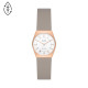 часы Skagen LEATHER SKW3079